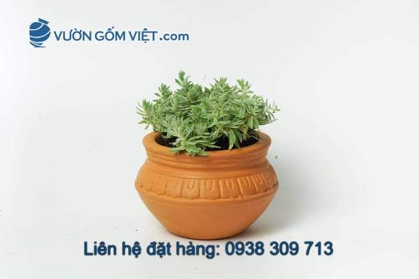 Ý tưởng dùng gốm đỏ trang trí khi thiết kế cảnh quan sân vườn