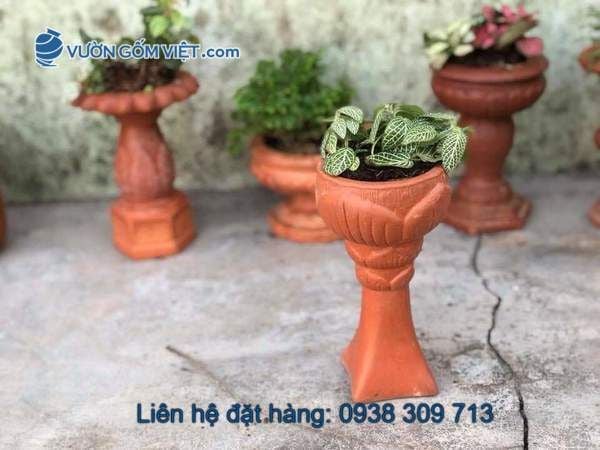 Mua chậu gốm đất đỏ ở đâu? Giá bao nhiêu? Có nhiều loại không?
