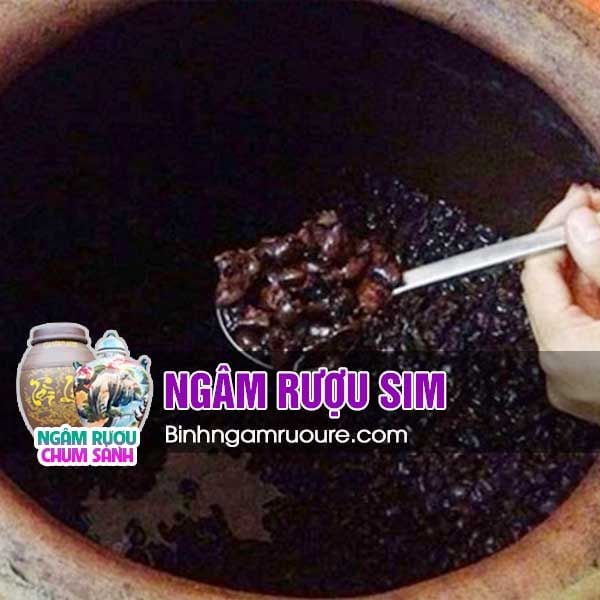 Ngâm rượu hoa quả uống tết : TOP 10 rượu ngâm uống tết ngon dễ làm