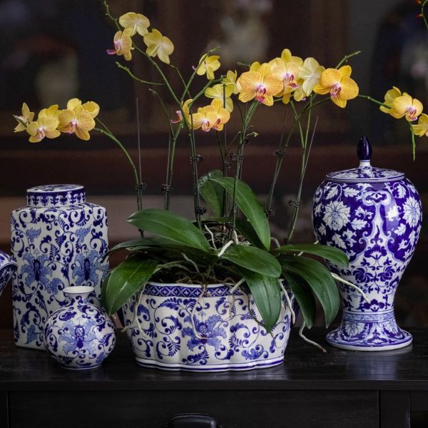 Tết nên chưng hoa gì đem lại may mắn, rước tài lộc