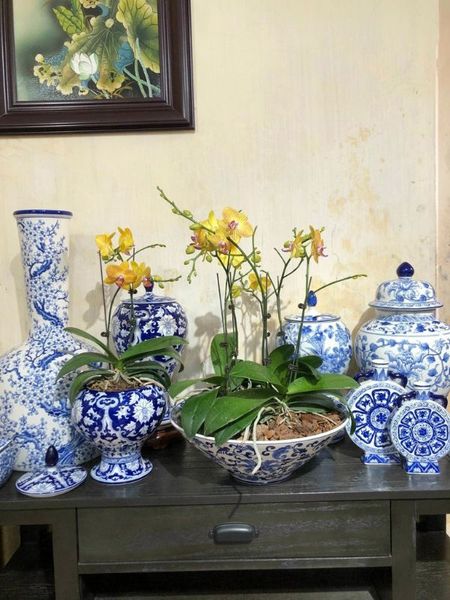 Muôn kiểu cắm hoa ngày Tết có ý nghĩa may mắn cả năm