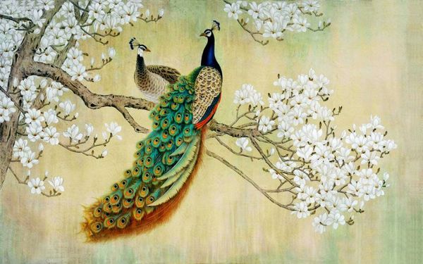 Chim khổng tước – Đại diện cho sự cao sang và quyền quý