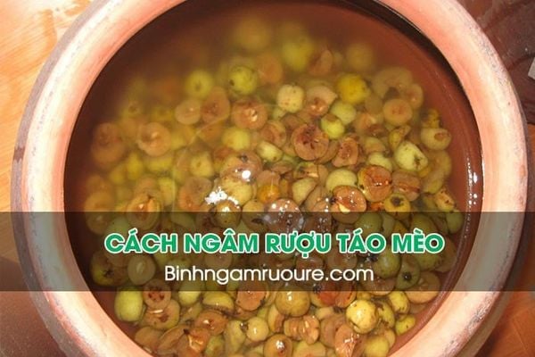 Ngâm rượu hoa quả uống tết : TOP 10 rượu ngâm uống tết ngon dễ làm