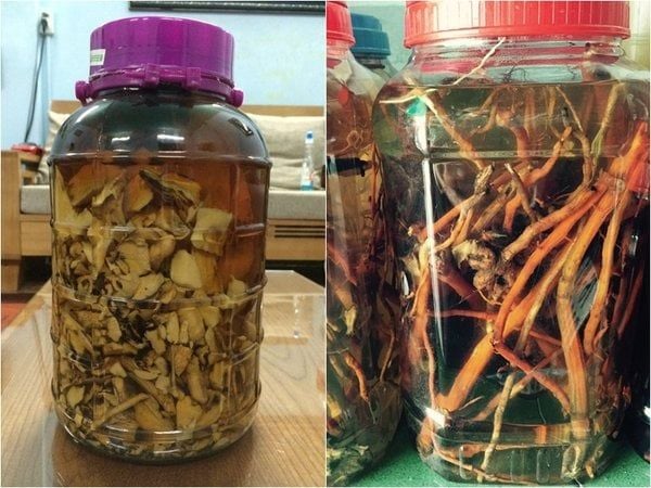 Tổng hợp các loại rượu ngâm thảo dược an toàn tốt cho sức khỏe mọi người