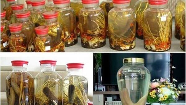 Lưu ý khi ngâm và sử dụng rượu bổ dương