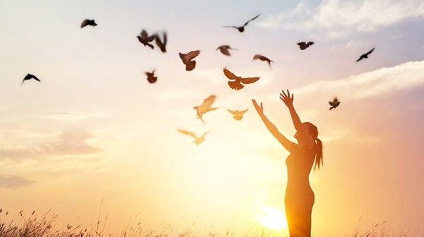 Sám Hối Trong Đạo Phật Và Những Điều Cần Biết