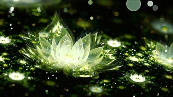 Sám Hối Trong Đạo Phật Và Những Điều Cần Biết