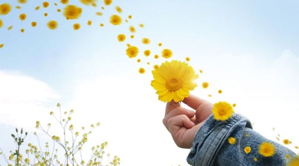 Tâm Tư Càng Giản Đơn, Trong Lòng Càng Bình An, Sinh Mệnh Càng Phong Phú