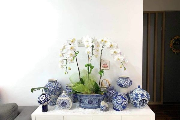Cách cắm hoa lan dâng bàn thờ đón tài lộc ngày Tết