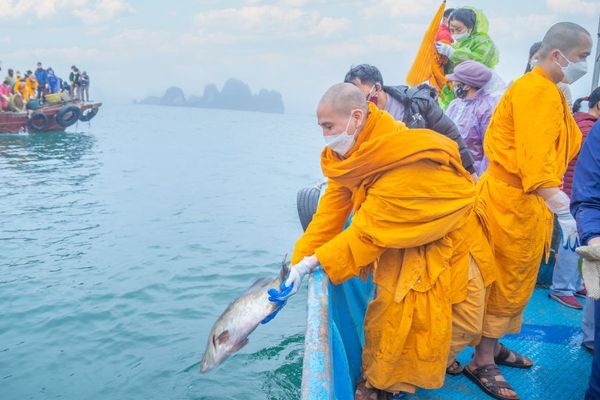 Những việc nên làm trong ngày Phật Đản Sanh