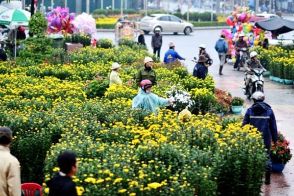 Thú chơi hoa vui Xuân dịp Tết của người Việt Nam