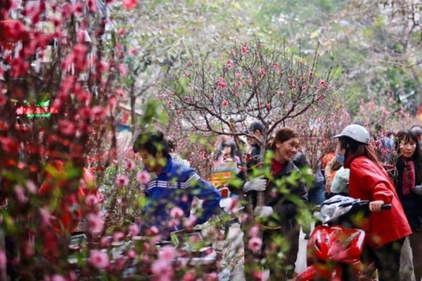 Mẫu cắm hoa bình gốm sứ dáng cao ưa chuộng mùa Tết