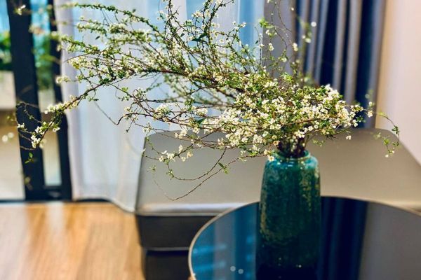 Các mẫu bình cắm hoa đẹp để bàn trang trí phòng khách dịp Tết