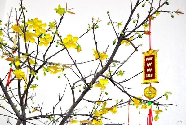 Tục chưng hoa ngày Tết của người Việt – Tục thờ cúng ngày Tết