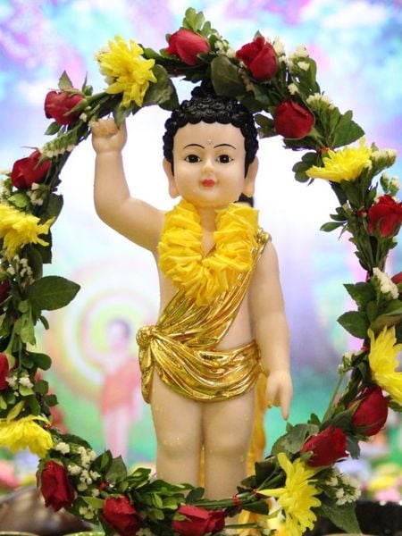 7 bước chân Phật Đản sanh và những điều nên làm trong ngày Phật Đản