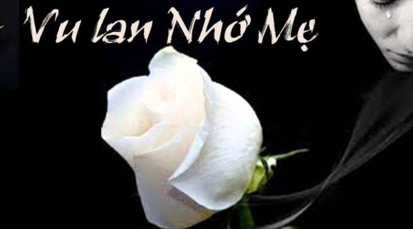 Ý Nghĩa Bông Hồng Cài Áo Mùa Vu Lan Báo Hiếu