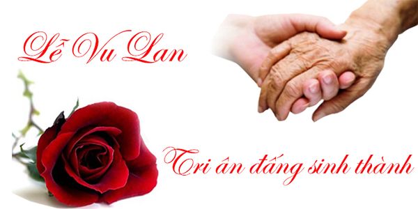 Ý Nghĩa Bông Hồng Cài Áo Mùa Vu Lan Báo Hiếu