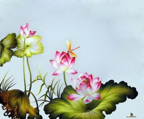 Ý nghĩa lục bình Vẽ Hoa Sen trong phong thủy