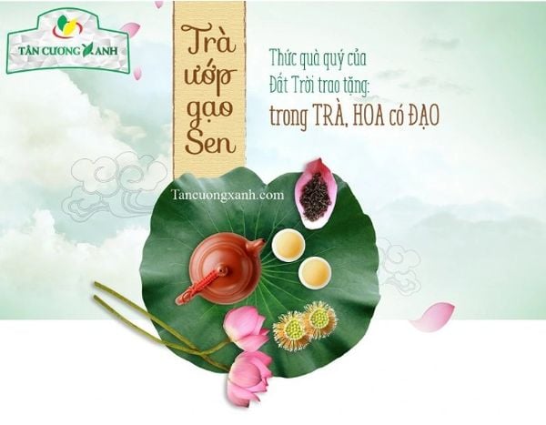Trà Ướp Hoa Sen: Nét Tinh Hoa Của Văn Hóa Việt