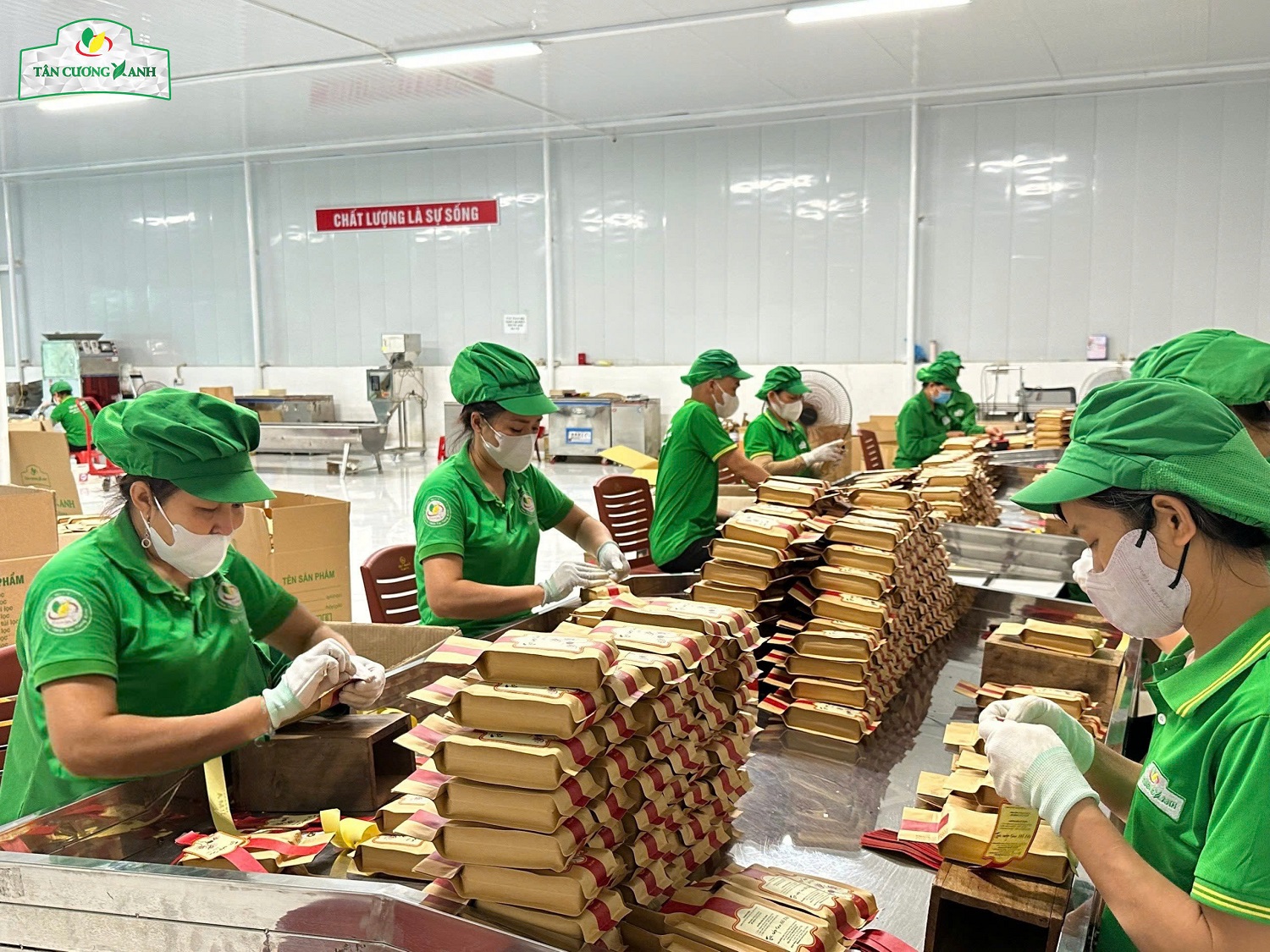TIÊU CHUẨN VỆ SINH AN TOÀN THỰC PHẨM TẠI NHÀ MÁY TÂN CƯƠNG XANH