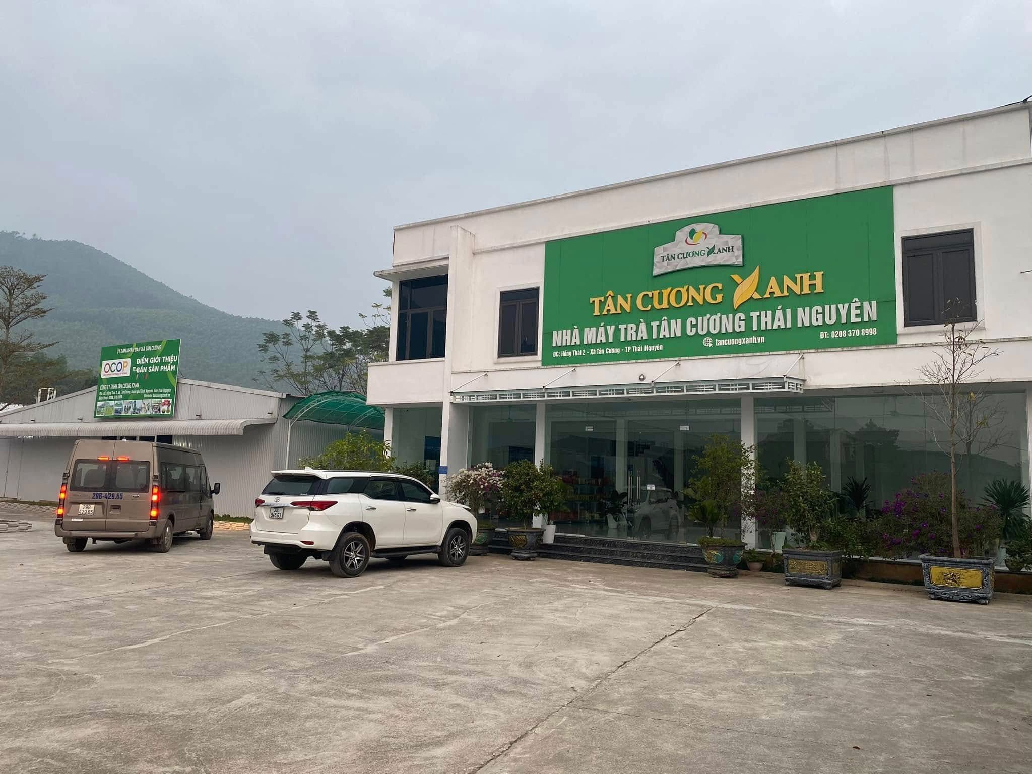 Tân Cương Xanh - Trà Sạch Cho Cuộc Sống Xanh