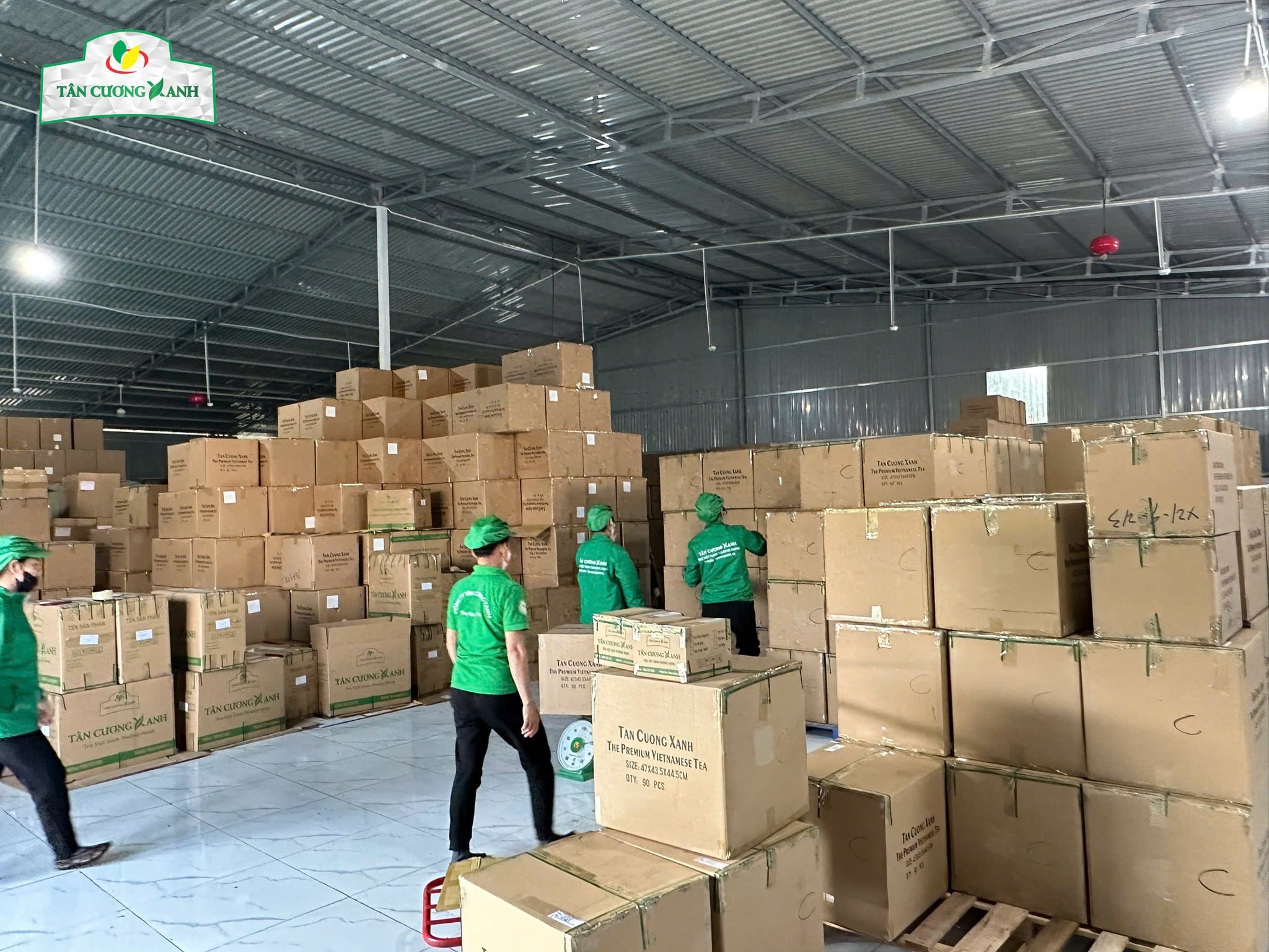 TIÊU CHUẨN AN TOÀN THỰC PHẨM TẠI KHO HÀNG NHÀ MÁY TÂN CƯƠNG XANH