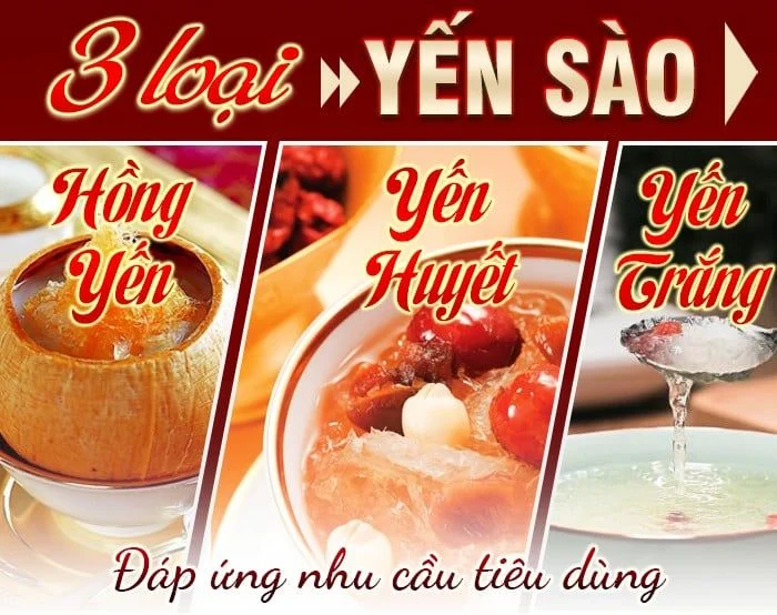 Yến Sào Khánh Hòa có thể bạn đã biết !