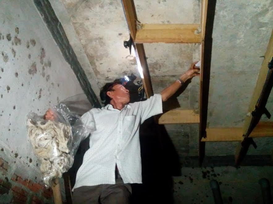 Cách nuôi yến nhà