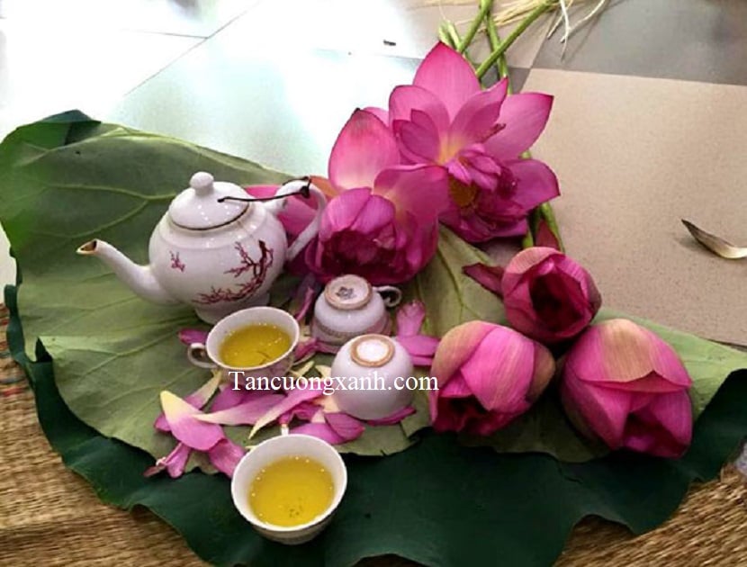Trà Tân Cương Xanh – Món Quà Tinh Thần Gửi Gắm Yêu Thương