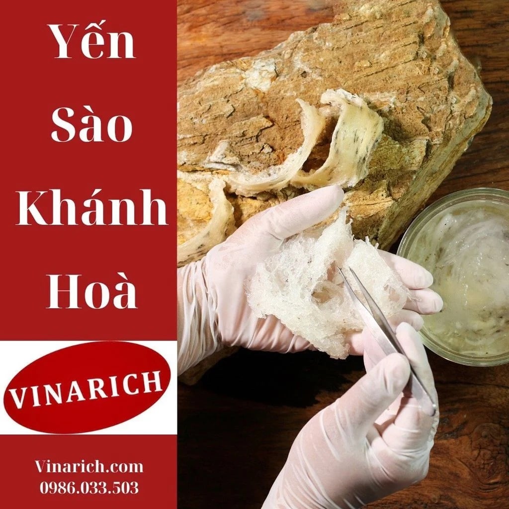 Nạp lại năng lượng, tăng cường đề kháng với Yến sào Khánh Hòa Tiến Vua Vinarich
