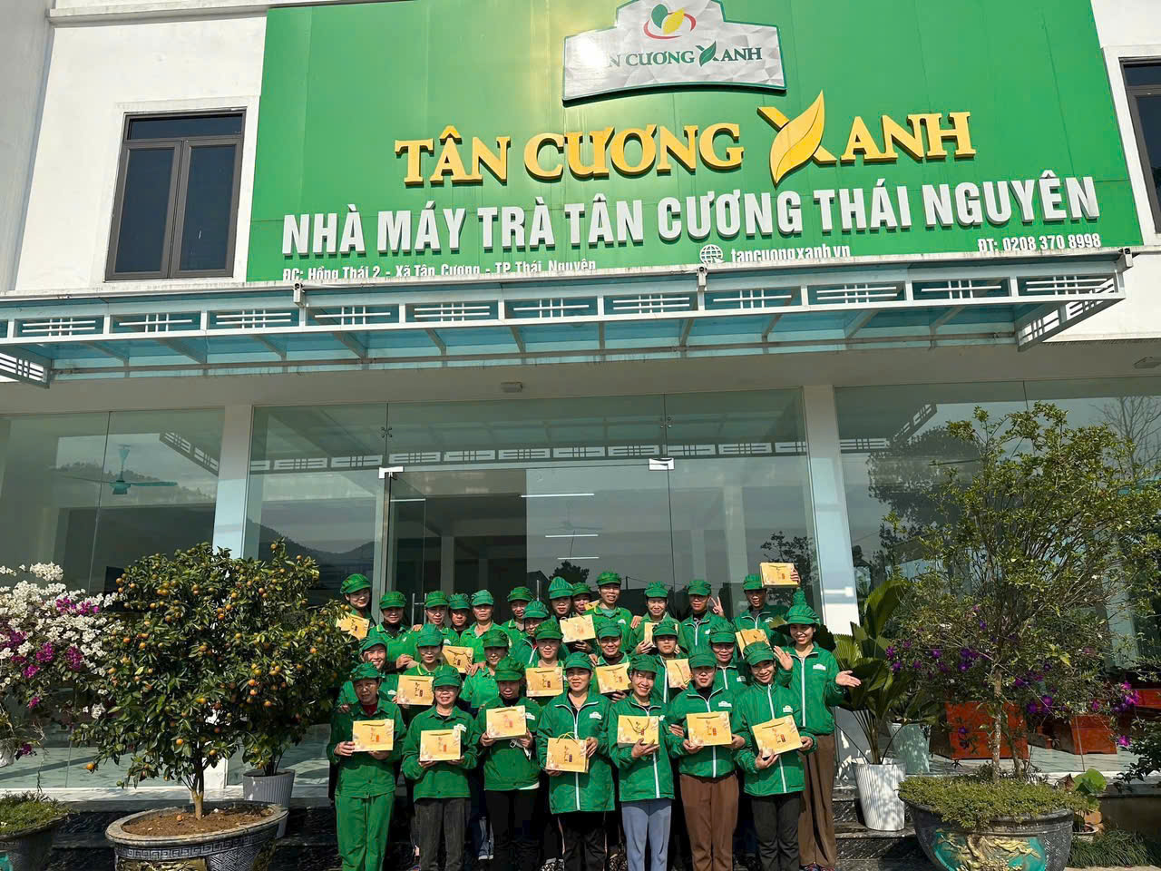 Trà Tân Cương Xanh – Giá trị khác biệt từ chất lượng đến thương hiệu