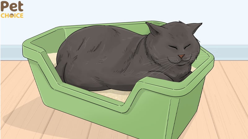 Thiết lập thói quen và quy trình trước khi ngủ