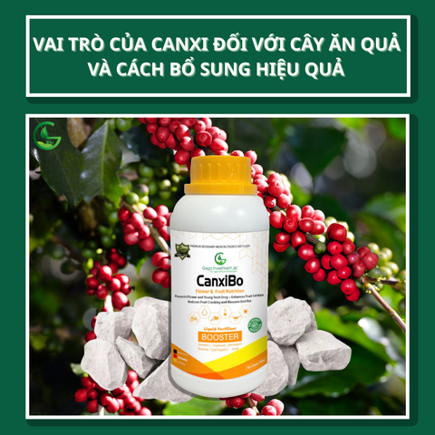 Vai Trò Của Canxi Đối Với Cây Ăn Quả Và Cách Bổ Sung Hiệu Quả Với CanxiBo GEGA