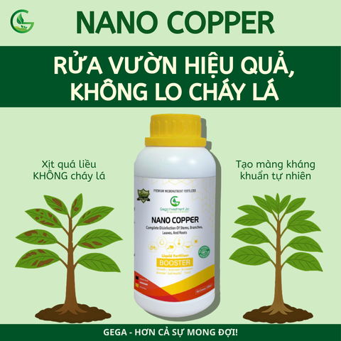 Mùa mưa ẩm cao – Nấm bệnh tấn công khắp vườn? Đừng lo, đã có Nano Copper bảo vệ cây an toàn!