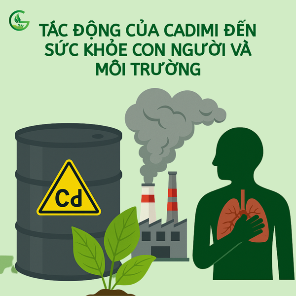 nguyen-to-cadimi-anh-huong-den-suc-khoe-con-nguoi-và-moi-moi-truong