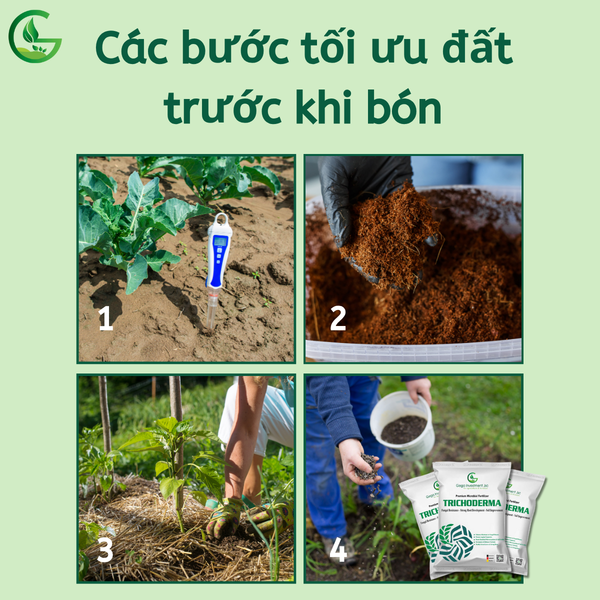 Cac-buoc-toi-uu-dat-truoc-khi-bon