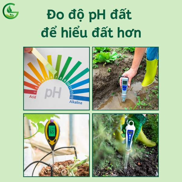 hieu-ph-dat-giup-cay-khoe-cung-nong-nghiep-xanh-gega