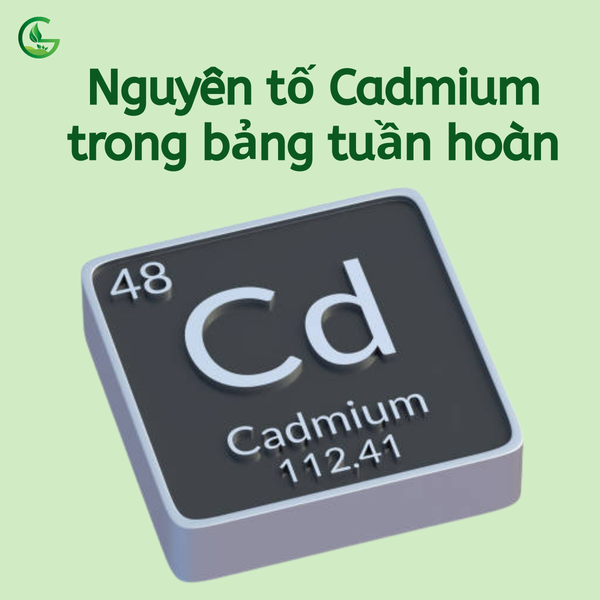 nguyen-to-cadimi-trong-ban-tuan-hoan-hoa-hoc