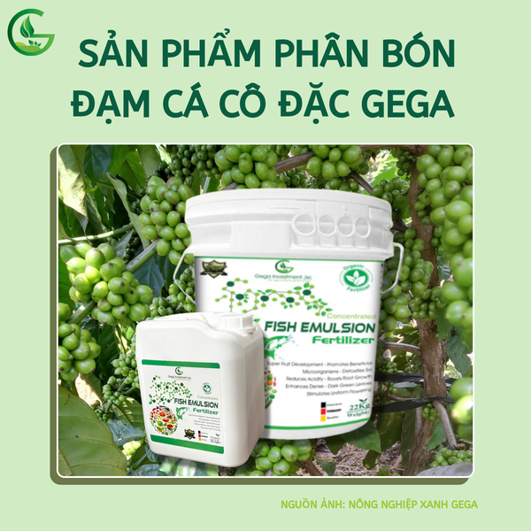 Phân bón hữu cơ GEGA Đạm Cá Cô Đặc-Xô 22kg
