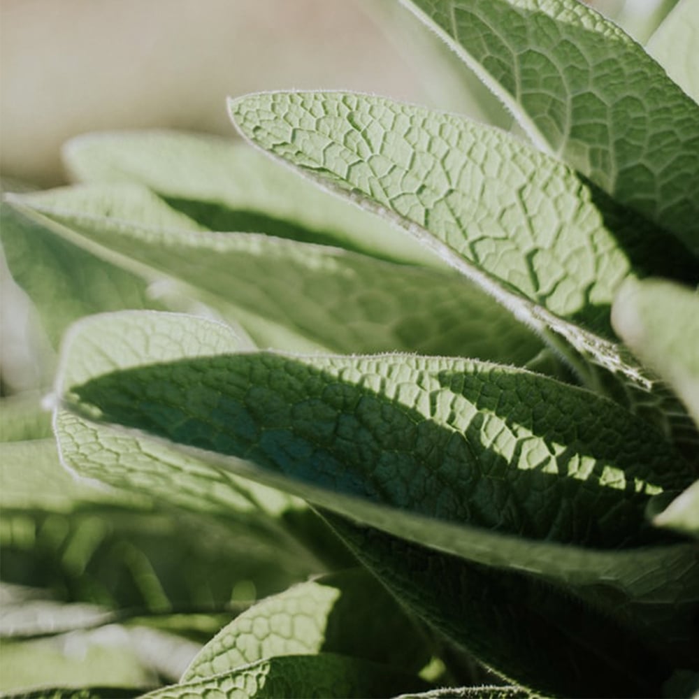 ĐÓN CHÀO NĂM 2021 - NĂM CỦA DETOX LÀN DA VỚI 5 GIẢI PHÁP HIỆU QUẢ