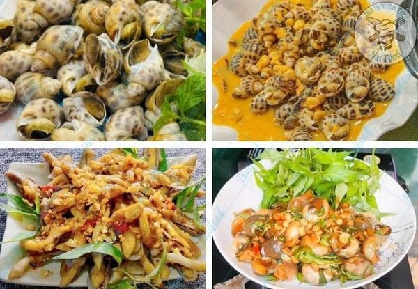 các món ốc ngon