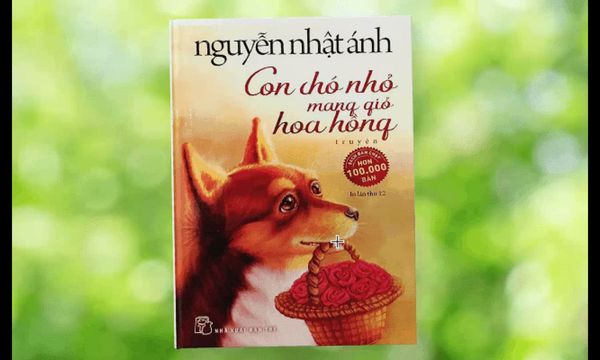Con chó nhỏ mang giỏ hoa hồng