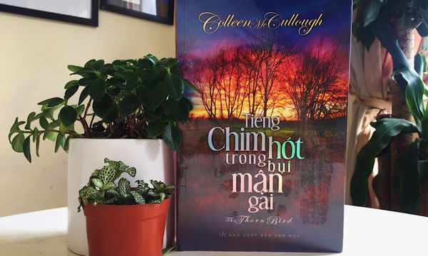 Tiếng chim hót trong bụi mận gai