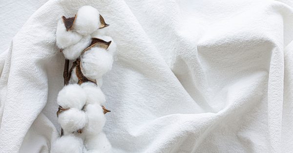 nen-chon-tat-co-chat-lieu-cotton
