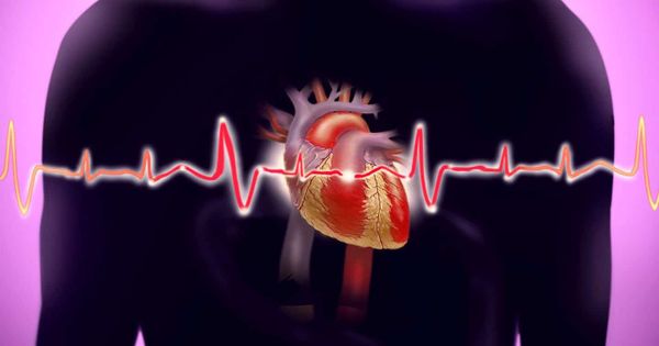 thói quen lành mạnh cho sức khỏe bạn nên biết