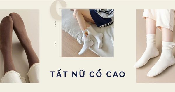 TẤT NỮ CỔ CAO