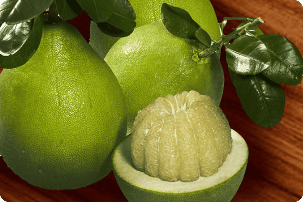 Bưởi - Hương Vị Thanh Mát Của Ẩm Thực Việt