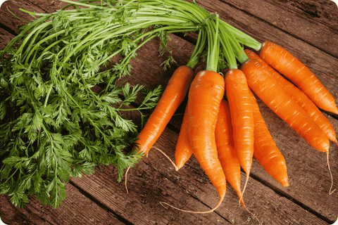 Cà Rốt - Sắc Cam Rực Rỡ Của Ẩm Thực Việt