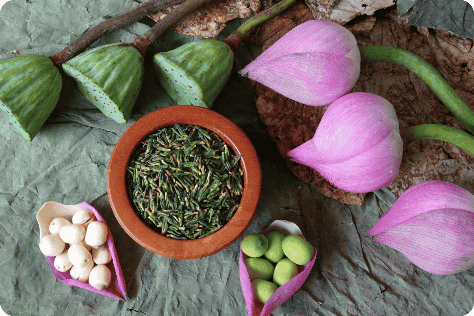 Hạt Sen - Hương Vị Thanh Tịnh Của Ẩm Thực Việt