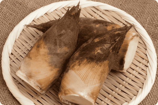 Măng - Vị Giòn Thanh Của Ẩm Thực Việt